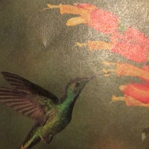 Meet your Posher, Julia